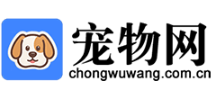 宠物网