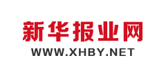 新华报业网
